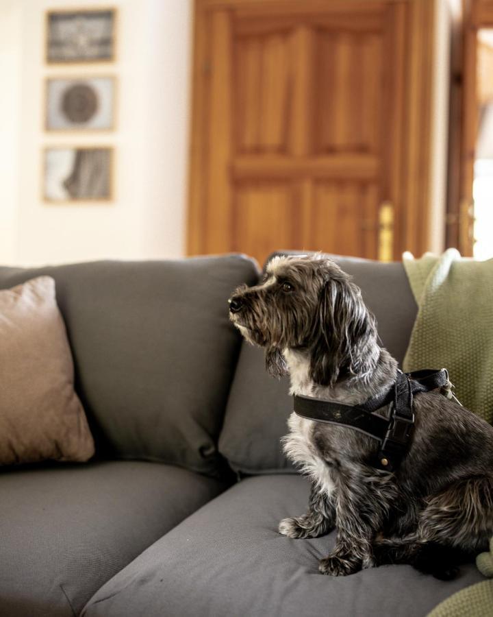 Apartamenty W Willi Debowej Z Dostepem Do Sauny เบียลาวา ภายนอก รูปภาพ